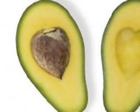 7 Ï„ÏÎ¿Ï†Î­Ï‚ Î³Î¹Î± ÎºÎ±Î»ÏÏ„ÎµÏÎ· ÎµÏÏ‰Ï„Î¹ÎºÎ® Î¶Ï‰Î®!live-in | Η Έξυπνη, Αντικειμενική και Εναλλακτική Ενημέρωση!