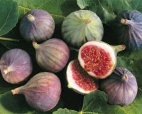 7 Ï„ÏÎ¿Ï†Î­Ï‚ Î³Î¹Î± ÎºÎ±Î»ÏÏ„ÎµÏÎ· ÎµÏÏ‰Ï„Î¹ÎºÎ® Î¶Ï‰Î®!live-in | Η Έξυπνη, Αντικειμενική και Εναλλακτική Ενημέρωση!