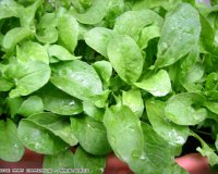 7 Ï„ÏÎ¿Ï†Î­Ï‚ Î³Î¹Î± ÎºÎ±Î»ÏÏ„ÎµÏÎ· ÎµÏÏ‰Ï„Î¹ÎºÎ® Î¶Ï‰Î®!live-in | Η Έξυπνη, Αντικειμενική και Εναλλακτική Ενημέρωση!