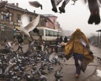 ÎŸÎ¹ Ï„Î±Î¹Î½Î¯ÎµÏ‚ Ï„Î·Ï‚ ÎµÎ²Î´Î¿Î¼Î¬Î´Î±Ï‚ Î±Ï€ÏŒ Ï„Î¿ Live In!live-in | Η Έξυπνη, Αντικειμενική και Εναλλακτική Ενημέρωση!