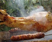 Î‘ÏÎ½Î¯ ÏƒÏ„Î· ÏƒÎ¿ÏÎ²Î»Î± ÎºÎ±Î¹ ÎºÎ¿ÎºÎ¿ÏÎ­Ï„ÏƒÎ¹ Î±Ï€ÏŒ Ï„Î·Î½ ÎµÏ€Î¿Ï‡Î® Ï„Î¿Ï… ÎŸÎ¼Î®ÏÎ¿Ï…!live-in | Η Έξυπνη, Αντικειμενική και Εναλλακτική Ενημέρωση!