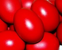 Î“Î¹Î±Ï„Î¯ Î²Î¬Ï†Î¿Ï…Î¼Îµ Ï„Î± Î±Ï…Î³Î¬ ÎºÏŒÎºÎºÎ¹Î½Î±live-in | Η Έξυπνη, Αντικειμενική και Εναλλακτική Ενημέρωση!