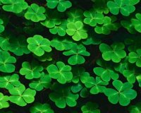 Î‘Ï€ÏŒ Ï€Î¿Ï Î²Î³Î®ÎºÎµ Î· Ï†ÏÎ¬ÏƒÎ· Â«Î–Î®ÏƒÎµ ÎœÎ¬Î· Î¼Î¿Ï… Î½Î± Ï†Î±Ï‚ Ï„ÏÎ¹Ï†ÏÎ»Î»Î¹Â»live-in | Η Έξυπνη, Αντικειμενική και Εναλλακτική Ενημέρωση!