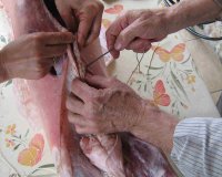 Î¤Î± Î¼Ï…ÏƒÏ„Î¹ÎºÎ¬ Ï„Î¿Ï… Ï€Î±ÏƒÏ‡Î±Î»Î¹Î½Î¿Ï ÏˆÎ·ÏƒÎ¯Î¼Î±Ï„Î¿Ï‚live-in | Η Έξυπνη, Αντικειμενική και Εναλλακτική Ενημέρωση!