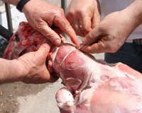 Î¤Î± Î¼Ï…ÏƒÏ„Î¹ÎºÎ¬ Ï„Î¿Ï… Ï€Î±ÏƒÏ‡Î±Î»Î¹Î½Î¿Ï ÏˆÎ·ÏƒÎ¯Î¼Î±Ï„Î¿Ï‚live-in | Η Έξυπνη, Αντικειμενική και Εναλλακτική Ενημέρωση!