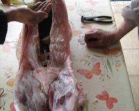 Î¤Î± Î¼Ï…ÏƒÏ„Î¹ÎºÎ¬ Ï„Î¿Ï… Ï€Î±ÏƒÏ‡Î±Î»Î¹Î½Î¿Ï ÏˆÎ·ÏƒÎ¯Î¼Î±Ï„Î¿Ï‚live-in | Η Έξυπνη, Αντικειμενική και Εναλλακτική Ενημέρωση!