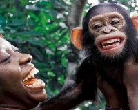 Î— Î±Ï€Î¯Î¸Î±Î½Î· Î¹ÏƒÏ„Î¿ÏÎ¯Î± Ï„Î·Ï‚ Î»Î­Î¾Î·Ï‚ "Î§Î¹Î¿ÏÎ¼Î¿Ï"live-in | Η Έξυπνη, Αντικειμενική και Εναλλακτική Ενημέρωση!