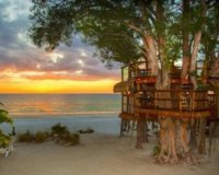 Î‘Ï…Î¸Î±Î¯ÏÎµÏ„Î¿ Î´ÎµÎ½Î´ÏÏŒÏƒÏ€Î¹Ï„Î¿ Ï†Î­ÏÎ½ÎµÎ¹ Ï€Î¿Î½Î¿ÎºÎ­Ï†Î±Î»Î¿ ÏƒÏ„Î¿Ï…Ï‚ Î¹Î´Î¹Î¿ÎºÏ„Î®Ï„ÎµÏ‚ Ï„Î¿Ï…!live-in | Η Έξυπνη, Αντικειμενική και Εναλλακτική Ενημέρωση!