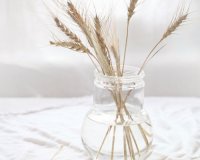 Î”Î¹Î±ÎºÏŒÏƒÎ¼Î·ÏƒÎ· Î³Î¹Î± Î­Î½Î± Ï†Ï…ÏƒÎ¹ÎºÏŒ ÏƒÏ„Ï…Î» Î¶Ï‰Î®Ï‚live-in | Η Έξυπνη, Αντικειμενική και Εναλλακτική Ενημέρωση!