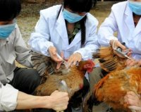 Î— Î³ÏÎ¯Ï€Î· Ï„Ï‰Î½ Ï€Ï„Î·Î½ÏŽÎ½ Î¼ÎµÏ„Î±Î´Î¯Î´ÎµÏ„Î±Î¹ Ï„ÏŽÏÎ± ÎºÎ±Î¹ Î¼Î­ÏƒÏ‰ Î±Î­ÏÎ± Î»Î­Î½Îµ Î¿Î¹ ÎµÏ€Î¹ÏƒÏ„Î®Î¼Î¿Î½ÎµÏ‚live-in | Η Έξυπνη, Αντικειμενική και Εναλλακτική Ενημέρωση!