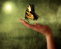 Î¤Î¿ ÎœÎ¬Î¸Î·Î¼Î± Ï„Î·Ï‚ Î ÎµÏ„Î±Î»Î¿ÏÎ´Î±Ï‚ â€“ ÎÎ¯ÎºÎ¿Ï‚ ÎšÎ±Î¶Î±Î½Ï„Î¶Î¬ÎºÎ·Ï‚live-in | Η Έξυπνη, Αντικειμενική και Εναλλακτική Ενημέρωση!