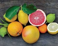 ÎŸÎ¹ 7 Ï„ÏÎ¿Ï†Î­Ï‚ Ï€Î¿Ï… ÎºÎ±Ï„Î±ÏÎ³Î¿ÏÎ½ Ï„Î¹Ï‚ Î±Î½Ï„Î¹Î³Î·ÏÎ±Î½Ï„Î¹ÎºÎ­Ï‚ ÎºÏÎ­Î¼ÎµÏ‚live-in | Η Έξυπνη, Αντικειμενική και Εναλλακτική Ενημέρωση!