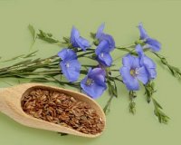 Î”Î¹Î±Ï„ÏÎ¿Ï†Î® ÎºÎ±Ï„Î¬ Ï„Î·Ï‚ ÎºÏ…Ï„Ï„Î±ÏÎ¯Ï„Î¹Î´Î±Ï‚!live-in | Η Έξυπνη, Αντικειμενική και Εναλλακτική Ενημέρωση!