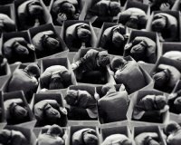 Î†ÎºÎ¿Ï…, Î‘Î½Î¸ÏÏ‰Ï€Î¬ÎºÎ¿!live-in | Η Έξυπνη, Αντικειμενική και Εναλλακτική Ενημέρωση!