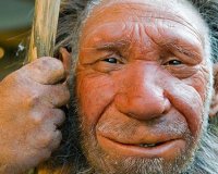 ÎšÎ±Î¹ Î¿Î¹ ÎÎµÎ¬Î½Ï„ÎµÏÏ„Î±Î» ÎµÎ¯Ï‡Î±Î½ ÏŒÎ³ÎºÎ¿Ï…Ï‚ - Î½ÎµÎ¿Ï€Î»Î±ÏƒÎ¯Î± ÏƒÎµ Î¿ÏƒÏ„ÏŒ Î·Î»Î¹ÎºÎ¯Î±Ï‚ 120.000 ÎµÏ„ÏŽÎ½live-in | Η Έξυπνη, Αντικειμενική και Εναλλακτική Ενημέρωση!