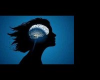 ÎŸÎ¹ Î Î±Î³Î¯Î´ÎµÏ‚ Ï„Î¿Ï… ÎœÏ…Î±Î»Î¿Ïlive-in | Η Έξυπνη, Αντικειμενική και Εναλλακτική Ενημέρωση!