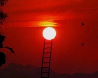 ÎŸÎ¹ Î Î±Î³Î¯Î´ÎµÏ‚ Ï„Î¿Ï… ÎœÏ…Î±Î»Î¿Ïlive-in | Η Έξυπνη, Αντικειμενική και Εναλλακτική Ενημέρωση!