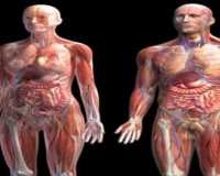 Î§Ï‰ÏÎ¯Ï‚ Ï€Î¿Î¹Î± ÏŒÏÎ³Î±Î½Î± Î¼Ï€Î¿ÏÎ¿ÏÎ¼Îµ Î½Î± Î¶Î®ÏƒÎ¿Ï…Î¼Îµ;live-in | Η Έξυπνη, Αντικειμενική και Εναλλακτική Ενημέρωση!