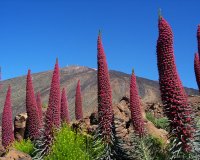 ÎŸÎ¹ ÏƒÏ€Î¬Î½Î¹Î¿Î¹ Â«Î ÏÏÎ³Î¿Î¹ Ï„Ï‰Î½ ÎšÎ¿ÏƒÎ¼Î·Î¼Î¬Ï„Ï‰Î½Â»!live-in | Η Έξυπνη, Αντικειμενική και Εναλλακτική Ενημέρωση!