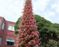 ÎŸÎ¹ ÏƒÏ€Î¬Î½Î¹Î¿Î¹ Â«Î ÏÏÎ³Î¿Î¹ Ï„Ï‰Î½ ÎšÎ¿ÏƒÎ¼Î·Î¼Î¬Ï„Ï‰Î½Â»!live-in | Η Έξυπνη, Αντικειμενική και Εναλλακτική Ενημέρωση!