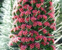 ÎŸÎ¹ ÏƒÏ€Î¬Î½Î¹Î¿Î¹ Â«Î ÏÏÎ³Î¿Î¹ Ï„Ï‰Î½ ÎšÎ¿ÏƒÎ¼Î·Î¼Î¬Ï„Ï‰Î½Â»!live-in | Η Έξυπνη, Αντικειμενική και Εναλλακτική Ενημέρωση!