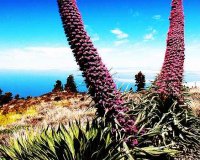 ÎŸÎ¹ ÏƒÏ€Î¬Î½Î¹Î¿Î¹ Â«Î ÏÏÎ³Î¿Î¹ Ï„Ï‰Î½ ÎšÎ¿ÏƒÎ¼Î·Î¼Î¬Ï„Ï‰Î½Â»!live-in | Η Έξυπνη, Αντικειμενική και Εναλλακτική Ενημέρωση!