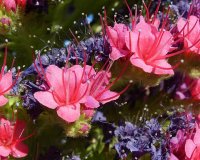 ÎŸÎ¹ ÏƒÏ€Î¬Î½Î¹Î¿Î¹ Â«Î ÏÏÎ³Î¿Î¹ Ï„Ï‰Î½ ÎšÎ¿ÏƒÎ¼Î·Î¼Î¬Ï„Ï‰Î½Â»!live-in | Η Έξυπνη, Αντικειμενική και Εναλλακτική Ενημέρωση!