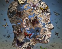 Î¤Î± Ï†Ï„ÎµÏÎ¬ ÎµÎ¯Î½Î±Î¹ Î³Î¹Î± Î½Î± Ï€ÎµÏ„Î¬Ï‚!live-in | Η Έξυπνη, Αντικειμενική και Εναλλακτική Ενημέρωση!