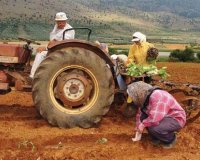 120 ÎµÎº. ÎµÏ…ÏÏŽ ÎµÏ€Î¹Ï€Î»Î­Î¿Î½ Î³Î¹Î± Ï„Î·Î½ Î±Î³ÏÎ¿Ï„Î¹ÎºÎ® Î±Î½Î¬Ï€Ï„Ï…Î¾Î· ÏƒÏ„Î·Î½ ÎšÏÏ€ÏÎ¿live-in | Η Έξυπνη, Αντικειμενική και Εναλλακτική Ενημέρωση!