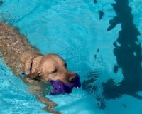 Î£Ï…Î¼Î²Î¿Ï…Î»Î­Ï‚ Î³Î¹Î± Ï„Î¿ ÎºÎ±Ï„Î¿Î¹ÎºÎ¯Î´Î¹ÏŒ ÏƒÎ±Ï‚ Ï„Î¿ ÎºÎ±Î»Î¿ÎºÎ±Î¯ÏÎ¹!live-in | Η Έξυπνη, Αντικειμενική και Εναλλακτική Ενημέρωση!