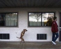 Â«ÎœÎµ Î»Î¯Î³Î· Î Î¯ÏƒÏ„Î·Â»live-in | Η Έξυπνη, Αντικειμενική και Εναλλακτική Ενημέρωση!