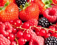 ÎœÎµÏ„Î±Î²Î¿Î»Î¹ÏƒÎ¼ÏŒÏ‚ Â«turboÂ» Î¼Îµ Ï„Î¹Ï‚ ÎºÎ±Ï„Î¬Î»Î»Î·Î»ÎµÏ‚ Ï„ÏÎ¿Ï†Î­Ï‚live-in | Η Έξυπνη, Αντικειμενική και Εναλλακτική Ενημέρωση!