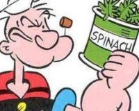 ÎœÏÎ¸Î¿Ï‚ ÏŒÏƒÎ± Î³Î½Ï‰ÏÎ¯Î¶Î±Ï„Îµ Î³Î¹Î± Ï„Î¿ ÏƒÏ€Î±Î½Î¬ÎºÎ¹live-in | Η Έξυπνη, Αντικειμενική και Εναλλακτική Ενημέρωση!