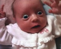 Î“ÎºÏÎ¹Î¼Î¬Ï„ÏƒÎµÏ‚ Î¼Ï‰ÏÏŽÎ½!live-in | Η Έξυπνη, Αντικειμενική και Εναλλακτική Ενημέρωση!