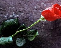 Î¥Ï€Î­ÎºÏ…ÏˆÎµ Î· 28Ï‡ÏÎ¿Î½Î· ÎšÎ±Ï„ÎµÏÎ¯Î½Î± Î±Ï€ÏŒ Ï„Î¿ Ï„ÏÎ¿Ï‡Î±Î¯Î¿ ÏƒÏ„Î¿Î½ ÎšÎ¿ÏÎ¹Î½ÏŒ Î Î¹ÎµÏÎ¯Î±Ï‚...live-in | Η Έξυπνη, Αντικειμενική και Εναλλακτική Ενημέρωση!