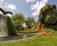 Î•ÎºÏ€Î»Î·ÎºÏ„Î¹ÎºÎ® Î­ÎºÎ¸ÎµÏƒÎ· Â«Ï€ÏÎ¬ÏƒÎ¹Î½Ï‰Î½Â» Î³Î»Ï…Ï€Ï„ÏŽÎ½(Mosaiculture)!live-in | Η Έξυπνη, Αντικειμενική και Εναλλακτική Ενημέρωση!