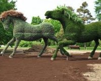 Î•ÎºÏ€Î»Î·ÎºÏ„Î¹ÎºÎ® Î­ÎºÎ¸ÎµÏƒÎ· Â«Ï€ÏÎ¬ÏƒÎ¹Î½Ï‰Î½Â» Î³Î»Ï…Ï€Ï„ÏŽÎ½(Mosaiculture)!live-in | Η Έξυπνη, Αντικειμενική και Εναλλακτική Ενημέρωση!