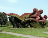 Î•ÎºÏ€Î»Î·ÎºÏ„Î¹ÎºÎ® Î­ÎºÎ¸ÎµÏƒÎ· Â«Ï€ÏÎ¬ÏƒÎ¹Î½Ï‰Î½Â» Î³Î»Ï…Ï€Ï„ÏŽÎ½(Mosaiculture)!live-in | Η Έξυπνη, Αντικειμενική και Εναλλακτική Ενημέρωση!