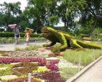 Î•ÎºÏ€Î»Î·ÎºÏ„Î¹ÎºÎ® Î­ÎºÎ¸ÎµÏƒÎ· Â«Ï€ÏÎ¬ÏƒÎ¹Î½Ï‰Î½Â» Î³Î»Ï…Ï€Ï„ÏŽÎ½(Mosaiculture)!live-in | Η Έξυπνη, Αντικειμενική και Εναλλακτική Ενημέρωση!