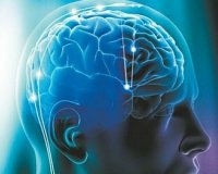 10 Ï€ÏÎ¬Î³Î¼Î±Ï„Î± Ï€Î¿Ï… ÎµÎ½Î´Ï…Î½Î±Î¼ÏŽÎ½Î¿Ï…Î½ Ï„Î¿Î½ ÎµÎ³ÎºÎ­Ï†Î±Î»Î¿live-in | Η Έξυπνη, Αντικειμενική και Εναλλακτική Ενημέρωση!