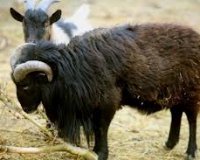 Î’Î¯Î½Ï„ÎµÎ¿: Î•Î¾Î¿ÏÎ³Î¹ÏƒÎ¼Î­Î½Î¿ ÎºÏÎ¹Î¬ÏÎ¹ ÎµÎ½Î±Î½Ï„Î¯Î¿Î½ Î¼Î¿Ï„Î¿ÏƒÎ¹ÎºÎ»Î­Ï„Î±Ï‚live-in | Η Έξυπνη, Αντικειμενική και Εναλλακτική Ενημέρωση!