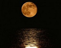 Î— Ï€Î±Î½ÏƒÎ­Î»Î·Î½Î¿Ï‚ ÎµÏ€Î·ÏÎµÎ¬Î¶ÎµÎ¹ Ï„Î·Î½ Ï…Î³ÎµÎ¯Î±;live-in | Η Έξυπνη, Αντικειμενική και Εναλλακτική Ενημέρωση!