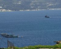 ÎŸÎ¹ Î—Î Î‘ Î¶Î®Ï„Î·ÏƒÎ±Î½ Ï„Î¹Ï‚ Î²Î¬ÏƒÎµÎ¹Ï‚ Î£Î¿ÏÎ´Î±Ï‚ ÎºÎ±Î¹ ÎšÎ±Î»Î±Î¼Î¬Ï„Î±Ï‚ Î³Î¹Î± ÎµÏ€Î­Î¼Î²Î±ÏƒÎ· ÏƒÏ„Î· Î£Ï…ÏÎ¯Î±live-in | Η Έξυπνη, Αντικειμενική και Εναλλακτική Ενημέρωση!