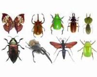 Î ÏŽÏ‚ Î½Î± Î±Ï€Î¿Î¼Î±ÎºÏÏÎ½ÎµÏ„Îµ Ï„Î± Î­Î½Ï„Î¿Î¼Î± Î±Ï€ÏŒ Ï„Î¿ ÏƒÏ€Î¯Ï„Î¹live-in | Η Έξυπνη, Αντικειμενική και Εναλλακτική Ενημέρωση!