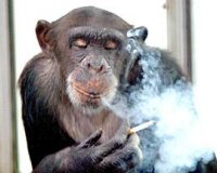 10 Ï€ÎµÏÎ¯ÎµÏÎ³Î¿Î¹ Î½ÏŒÎ¼Î¿Î¹ Ï„Ï‰Î½ Î—Î Î‘.live-in | Η Έξυπνη, Αντικειμενική και Εναλλακτική Ενημέρωση!