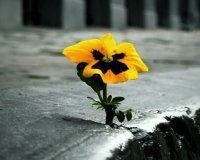 12 Î±Î»Î®Î¸ÎµÎ¹ÎµÏ‚ Ï€Î¿Ï… Î¸Î± Î­Ï€ÏÎµÏ€Îµ Î½Î± Î¾Î­ÏÎµÎ¹Ï‚ Î¼Î­Ï‡ÏÎ¹ Ï„ÏŽÏÎ±live-in | Η Έξυπνη, Αντικειμενική και Εναλλακτική Ενημέρωση!