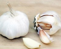 Î ÏŽÏ‚ Ï„Î¿ ÏƒÎºÏŒÏÎ´Î¿ ÎµÎ¾Î¿Î½Ï„ÏŽÎ½ÎµÎ¹ ÏŒÎ»ÎµÏ‚ Ï„Î¹Ï‚ Î±ÏÏÏŽÏƒÏ„Î¹ÎµÏ‚ ÎºÎ±Î¹ ÎµÎ¯Î½Î±Î¹ Ï…Ï€ÎµÏÏ„ÏÎ¿Ï†Î® Î´ÏÎ½Î±Î¼Î·Ï‚live-in | Η Έξυπνη, Αντικειμενική και Εναλλακτική Ενημέρωση!