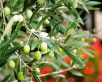 Î£ÎµÎ¼Î¹Î½Î¬ÏÎ¹Î± Î³Î¹Î± Î½Î­Î¿Ï…Ï‚ Ï€Î¿Ï… Î¸Î­Î»Î¿Ï…Î½ Î½Î± Î´ÏÎ±ÏƒÏ„Î·ÏÎ¹Î¿Ï€Î¿Î¹Î·Î¸Î¿ÏÎ½ ÏƒÏ„Î¿Î½ Ï€ÏÏ‰Ï„Î¿Î³ÎµÎ½Î® Ï„Î¿Î¼Î­Î±!live-in | Η Έξυπνη, Αντικειμενική και Εναλλακτική Ενημέρωση!