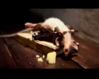 Î”ÎµÎ¯Ï„Îµ Ï„Î·Î½ ÎºÎ±Î»ÏÏ„ÎµÏÎ· Î´Î¹Î±Ï†Î®Î¼Î¹ÏƒÎ· Ï„Î¿Ï… 2010!live-in | Η Έξυπνη, Αντικειμενική και Εναλλακτική Ενημέρωση!