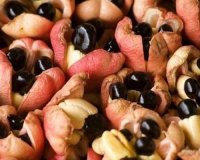 ÎˆÎ¾Î¹ Ï†Î±Î³Î·Ï„Î¬ Ï€Î¿Ï… ÏƒÎºÎ¿Ï„ÏŽÎ½Î¿Ï…Î½, ÏƒÏ„Î·Î½ ÎºÏ…ÏÎ¹Î¿Î»ÎµÎ¾Î¯Î±...live-in | Η Έξυπνη, Αντικειμενική και Εναλλακτική Ενημέρωση!